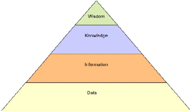 Gambar 1: Continuum from data to wisdom  (Cong &amp; Pandya 2003) 