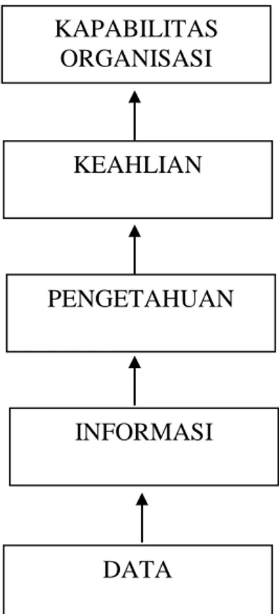 Gambar 2.1. Hirarki pengetahuan 