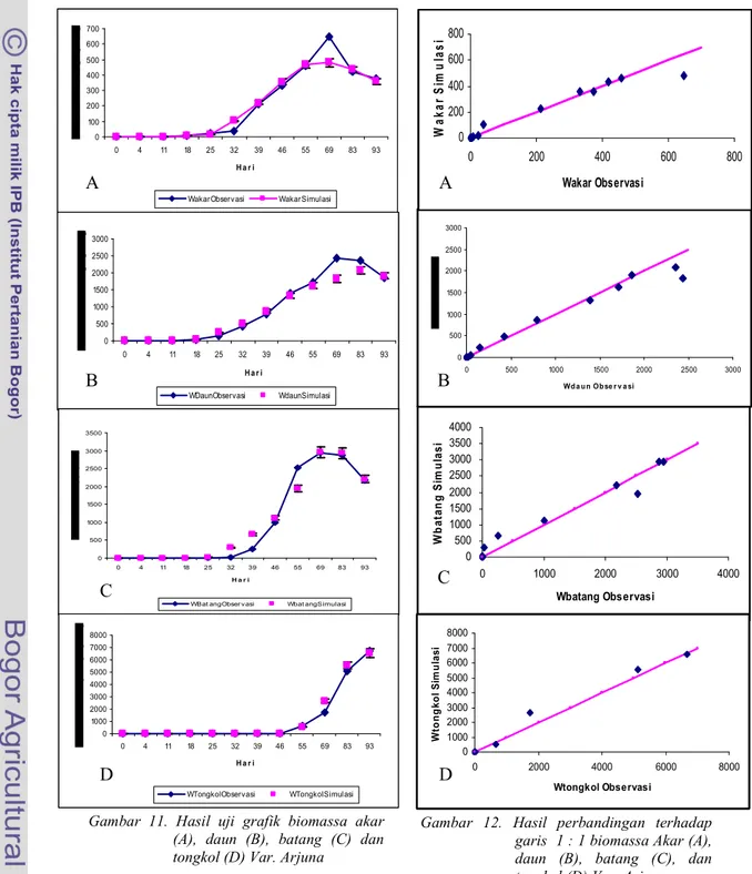 Gambar  11.  Hasil  uji  grafik  biomassa  akar  (A),  daun  (B),  batang  (C)  dan  tongkol (D) Var