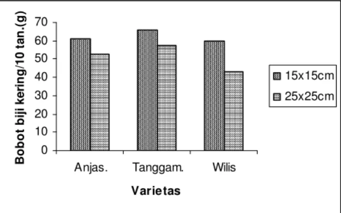 Gambar 5. Histogram bobot biji kering per sepuluh tanaman ketiga varietas                     pada jarak tanam 15x15 cm dan 25x25 cm