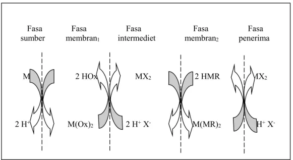 Gambar 1. Mekanisme transpor ion logam melalui teknik membran cair fasa ruah secara konsekutif