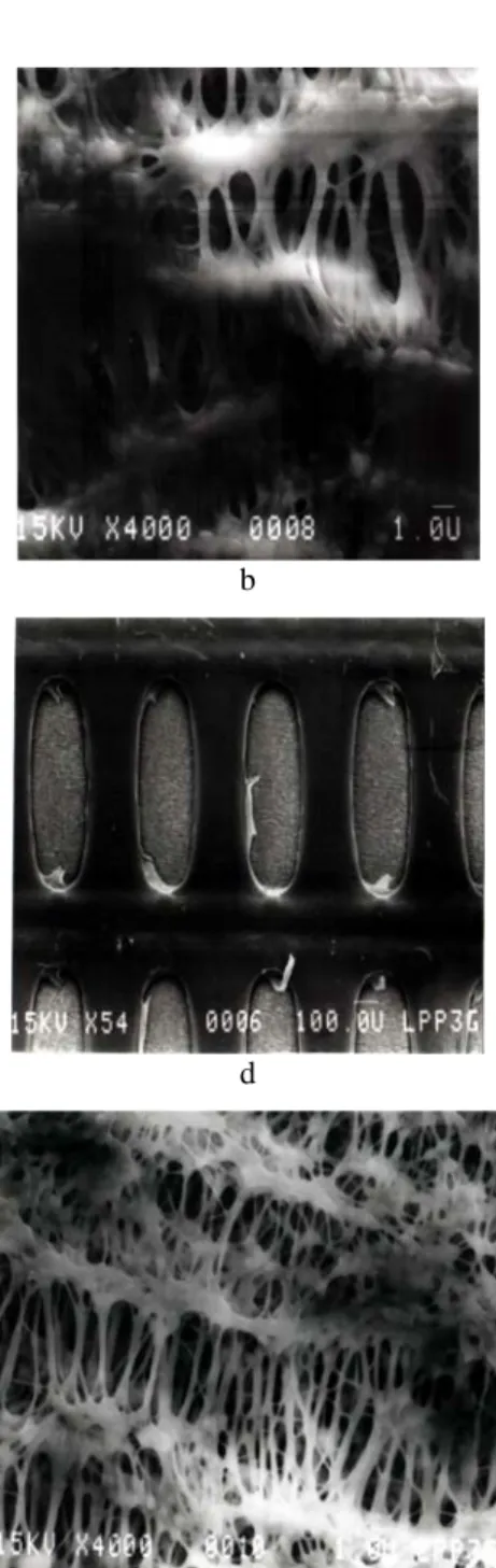Gambar 1. Profil permukaan kasar membran PTFE, sebelum direndam (a), sesudah direndam (b), profil seluruh  permukaan halus, sebelum direndam (c), sesudah direndam (d), dan profil permukaan halus bagian yang putih,  sebelum direndam (e), sesudah direndam (f