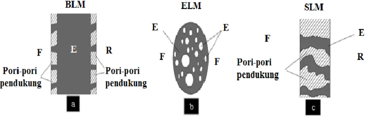 Gambar 1.   Tiga tipe dari membran cair, yaitu (a) BLM, (b) ELM dan (c) SLM.  