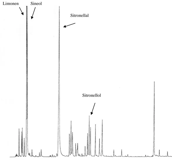 Gambar 2. Profil kromatogram komponen kimia minyak dari kulit batang kilemo  Figure 2