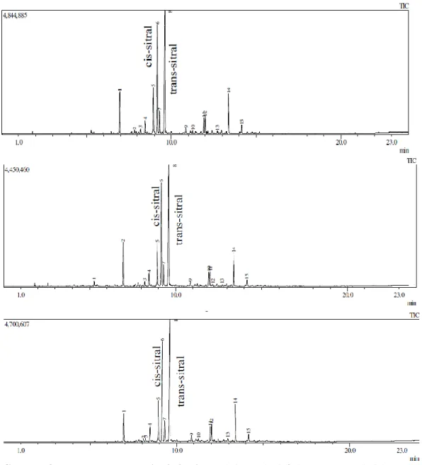 Gambar 3. Kromatogram hasil distilasi uap 1:1 (atas); 1:3 (tengah) dan 1:6 (bawah)  Gambar  3  menunjukkan  kromatogram  hasil  distilasi  uap  1:1  menunjukkan  kandungan  sitral  dengan  konsentrasi  tertinggi  pada  puncak  enam  dan  delapan
