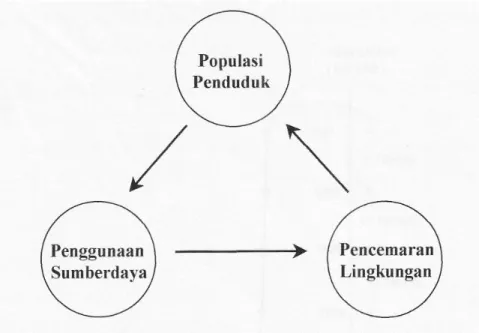 Gambar 4.1. Segitiga Krisis Permasalahan Lingkungan 