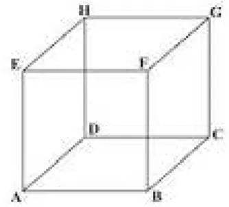 Gambar diatas dinamakan kubus ABCD.EFGH. Dari gambar di atas tampak  bahwa kubus memiliki unsur-unsur sebagai berikut : 