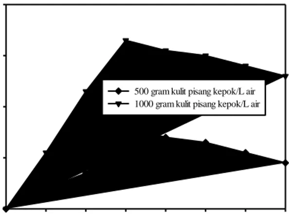 Gambar 4. Dried weight dari biomassa pada  konsentrasi ekstrak kulit pisang kepok 500 g/L air dan 