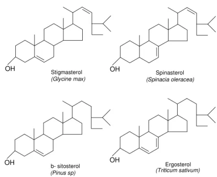 Gambar 3. Struktur dan Sumber Beberapa Steroid Tumbuhan 