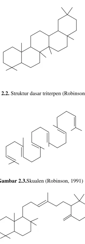 Gambar 2.2. Struktur dasar triterpen (Robinson, 1991) 