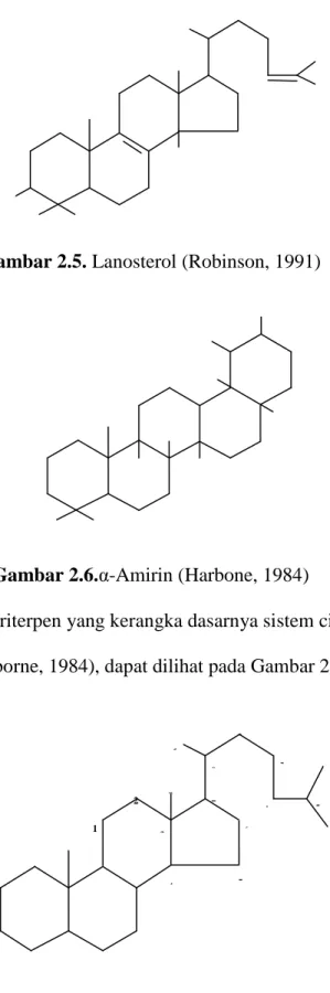Gambar 2.5. Lanosterol (Robinson, 1991) 