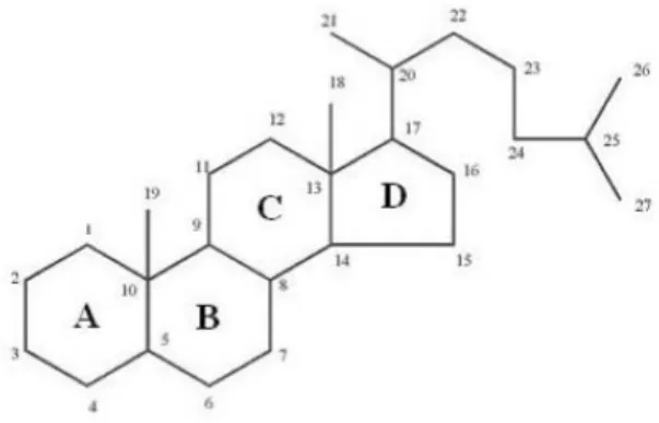 Gambar 3. Struktur Kimia dan Sistem Penomoran Steroid  3.  Saponin 