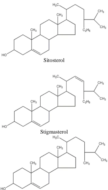 Gambar 3.  Struktur beberapa senyawa fitosterol 