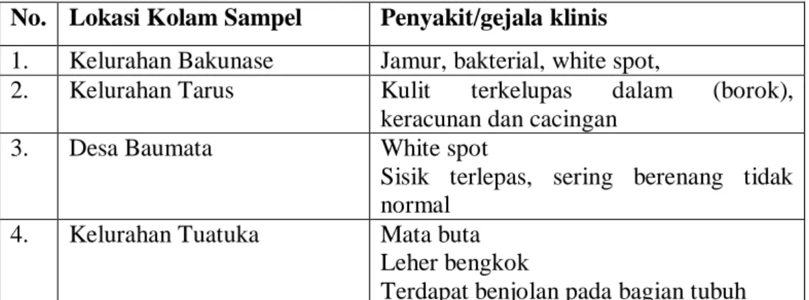 Tabel 3. Peyakit atau Gejala Klinis yang Terdapat Pada Ikan Budidaya Air  Tawar di Kota/Kabupaten Kupang