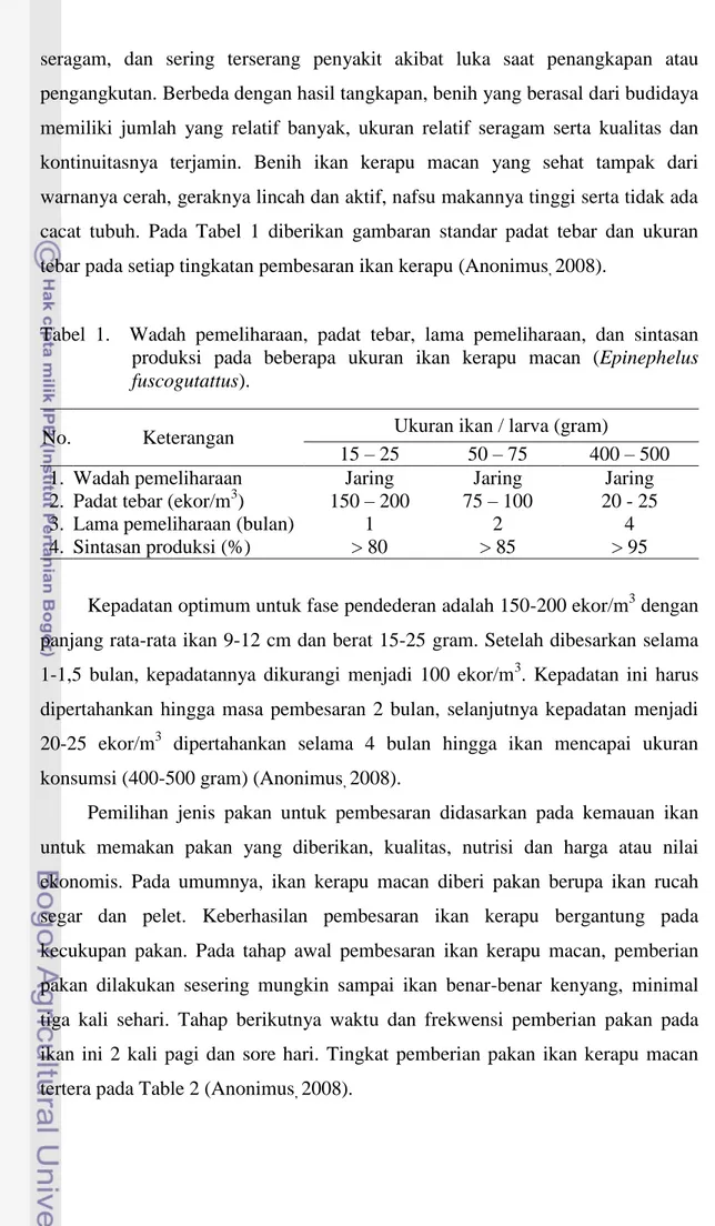 Tabel  1.    Wadah  pemeliharaan,  padat  tebar,  lama  pemeliharaan,  dan  sintasan  produksi  pada  beberapa  ukuran  ikan  kerapu  macan  (Epinephelus  fuscogutattus)
