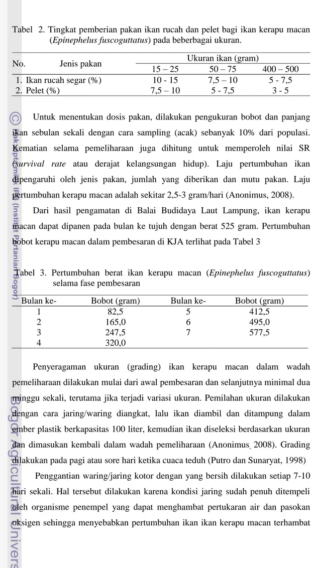 Tabel  2. Tingkat pemberian pakan ikan rucah dan pelet bagi ikan kerapu macan  (Epinephelus fuscoguttatus) pada beberbagai ukuran