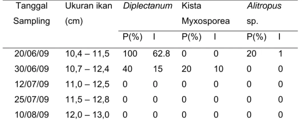 Tabel 5. Prevalensi (P) dan Intensitas rata-rata (I) parasit yang menyerang benih  ikan kerapu macan Epinephelus fuscoguttatus di KJA Perairan Pulau  Karang Congkak Balai Sea Farming Kepulauan Seribu 