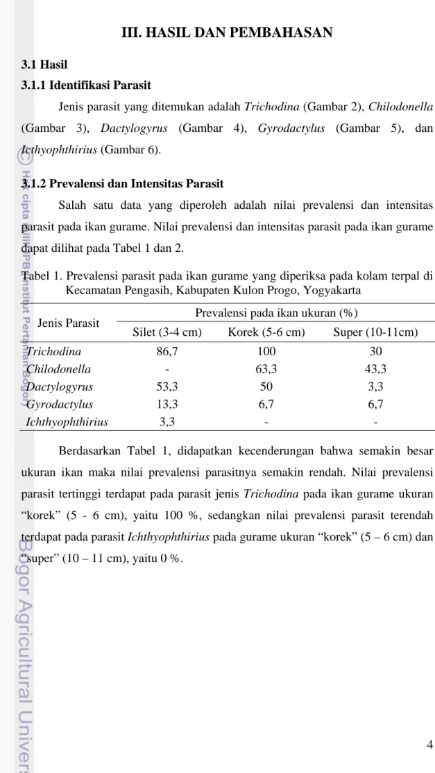 Tabel 1. Prevalensi parasit pada ikan gurame yang diperiksa pada kolam terpal di  Kecamatan Pengasih, Kabupaten Kulon Progo, Yogyakarta 