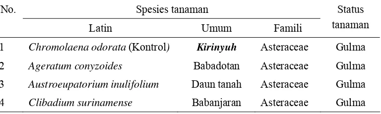 Tabel 1  Tiga spesies tanaman yang digunakan sebagai tanaman uji dan kontrol  pada uji kisaran inang  