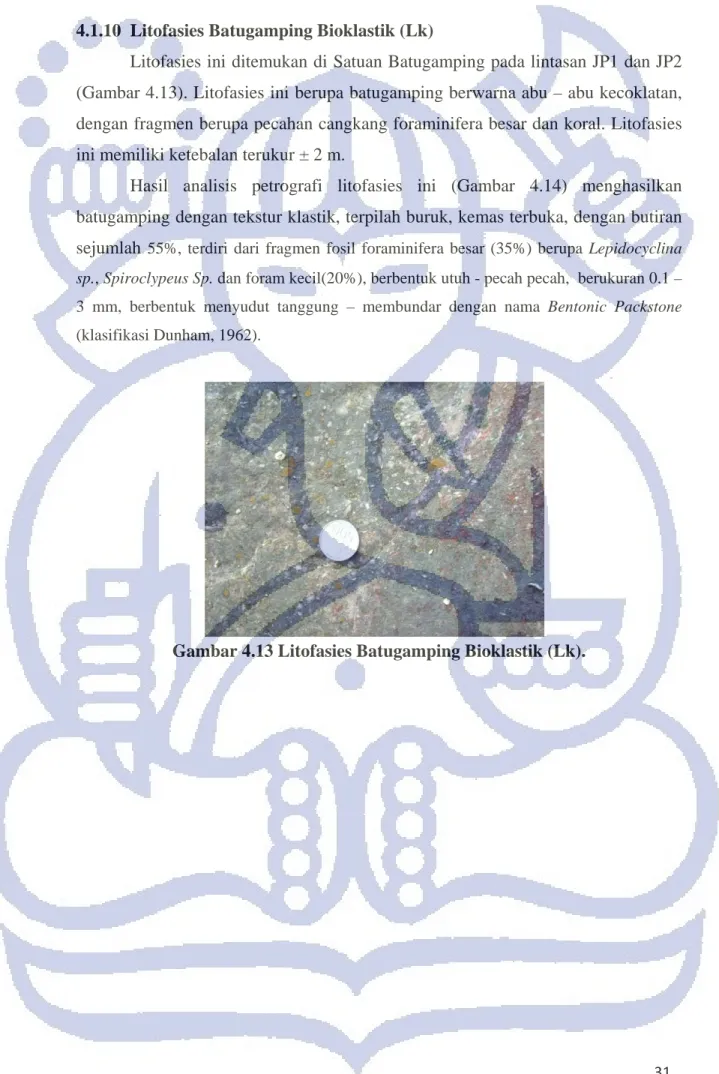 Gambar 4.13 Litofasies Batugamping Bioklastik (Lk). 