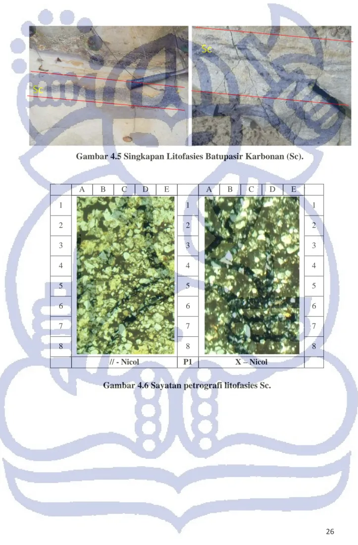 Gambar 4.6 Sayatan petrografi litofasies Sc. 