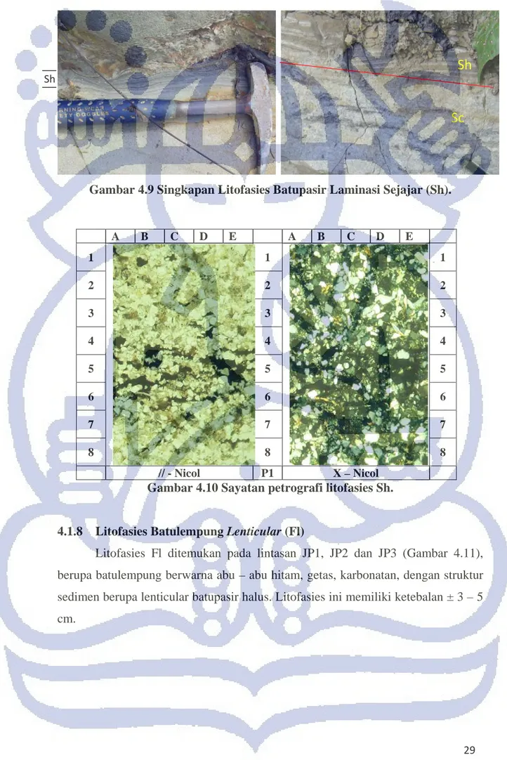 Gambar 4.10 Sayatan petrografi litofasies Sh. 