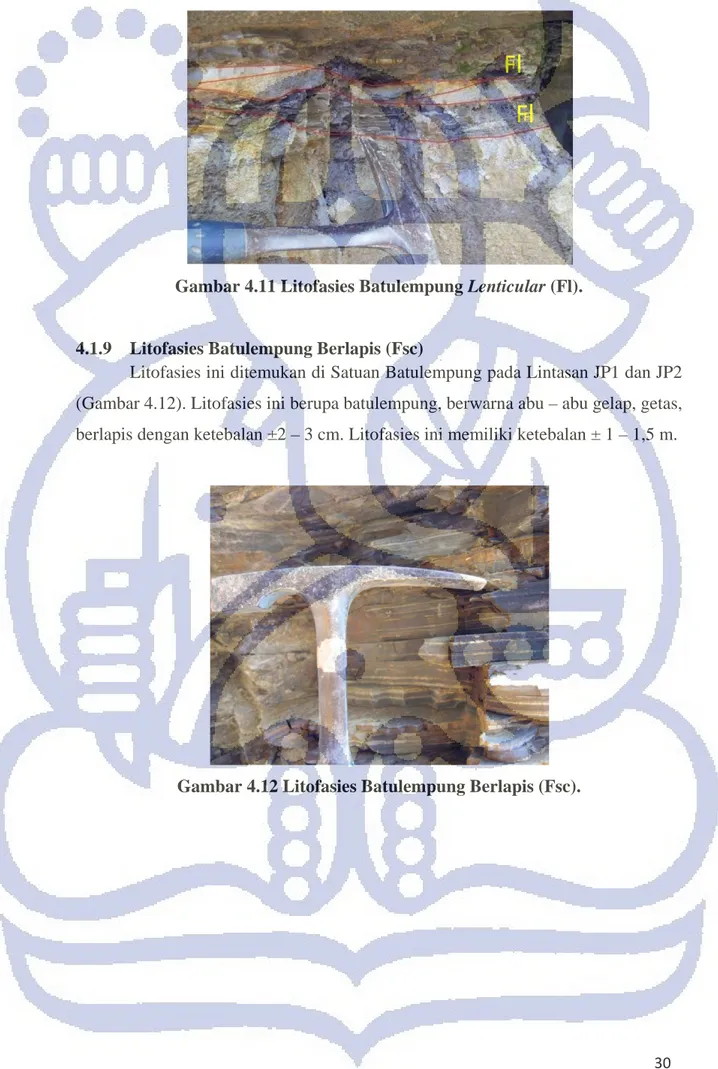 Gambar 4.12 Litofasies Batulempung Berlapis (Fsc). 