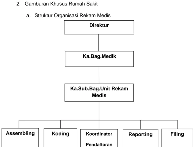 Gambar 4.2 Struktur Organisasi Rekam Medis Direktur  Ka.Bag.Medik Ka.Sub.Bag.Unit Rekam Medis  Filing Koordinator Pendaftaran Reporting Koding Assembling 