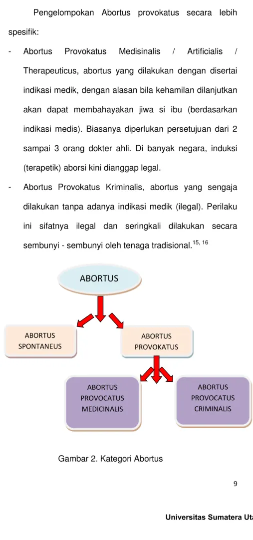 Gambar 2. Kategori Abortus 