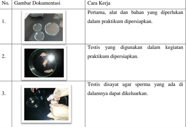 Tabel 1. Langkah kerja membuat preparat sperma  No.  Gambar Dokumentasi  Cara Kerja 