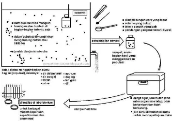 Gambar  3. Tahapan Sampling untuk Analisis Mikrobiologi 