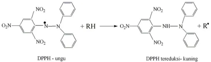 Gambar 8. Reaksi DPPH dengan senyawa antioksidan 