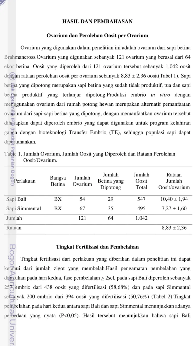 Table 1. Jumlah Ovarium, Jumlah Oosit yang Diperoleh dan Rataan Perolehan  Oosit/Ovarium