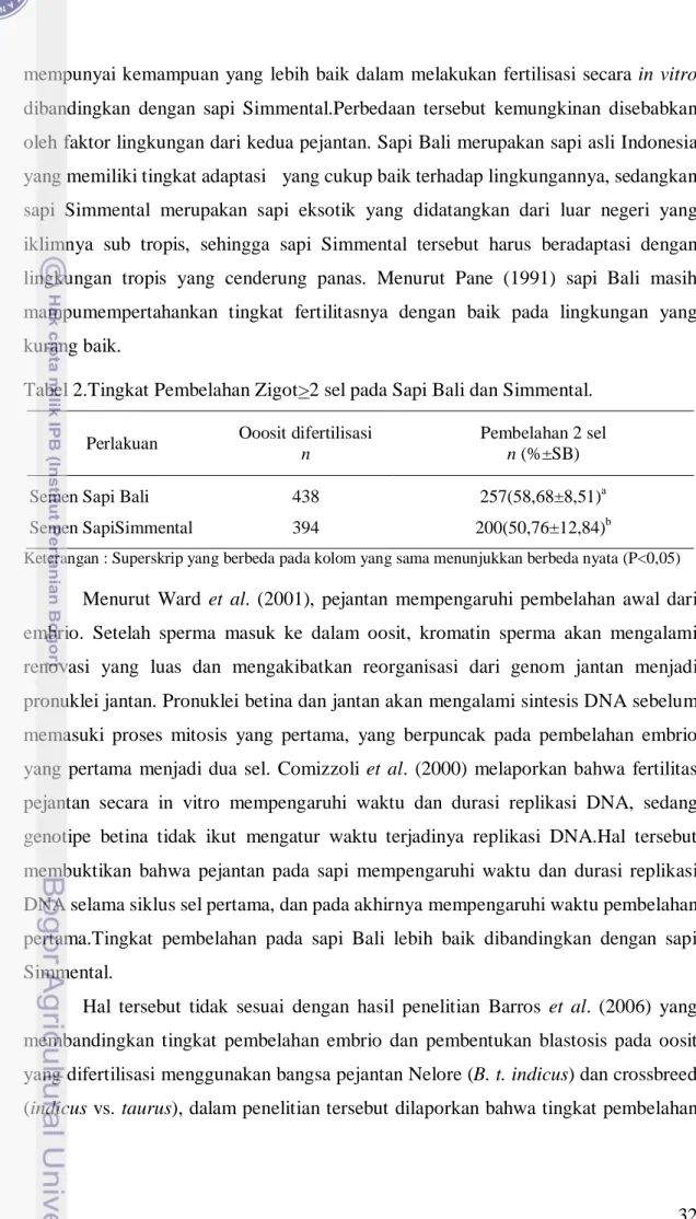 Tabel 2.Tingkat Pembelahan Zigot&gt;2 sel pada Sapi Bali dan Simmental. 
