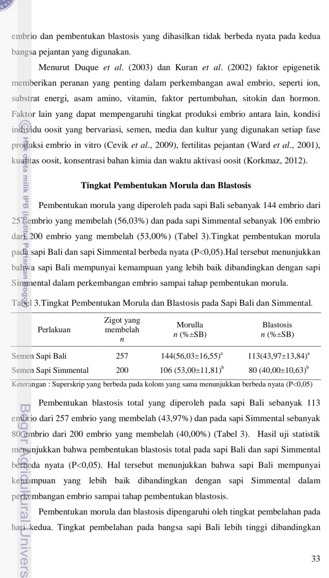 Tabel 3.Tingkat Pembentukan Morula dan Blastosis pada Sapi Bali dan Simmental. 