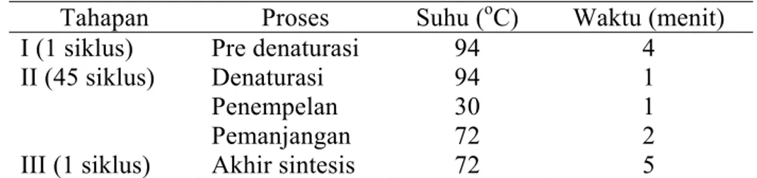 Tabel 4  Siklus, proses, suhu dan waktu dalam amplifikasi genom ikan sumatra  Tahapan Proses  Suhu (o C) Waktu  (menit)  I (1 siklus)  II (45 siklus)  III (1 siklus)  Pre denaturasi Denaturasi Penempelan Pemanjangan Akhir sintesis  94 94 30 72 72  4 1 1 2 
