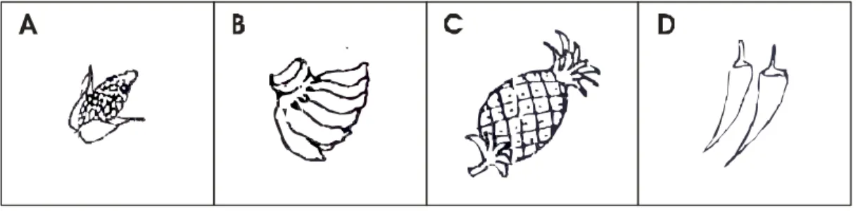 Gambar nomor 9:
