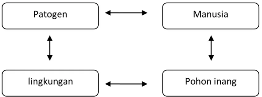 Gambar 1. Piramida Penyakit yang menghubungkan faktor-faktor patogen. 