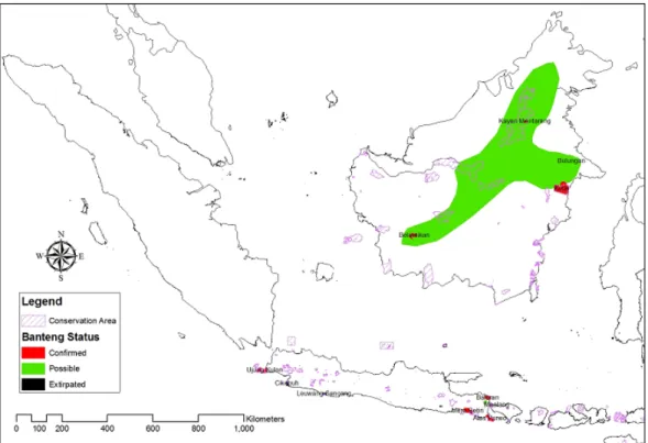 Gambar 3. Peta sebaran banteng di Indonesia