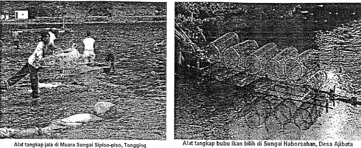 Gambar 5. Alat tangkap jala dan bubu untuk menangkap ikan bilih di danau Toba 