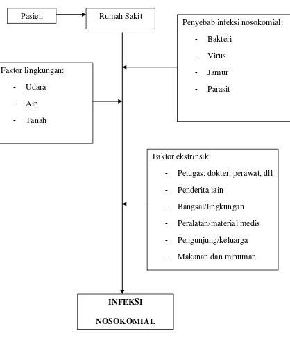 Gambar 1. Kerangka teori terjadinya infeksi (Ducel.G,2002) 