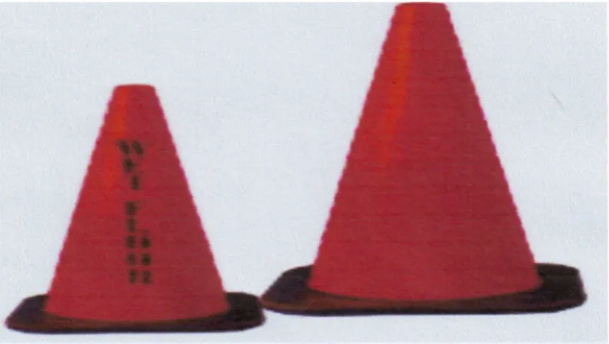Gambar 7. Cones besar 