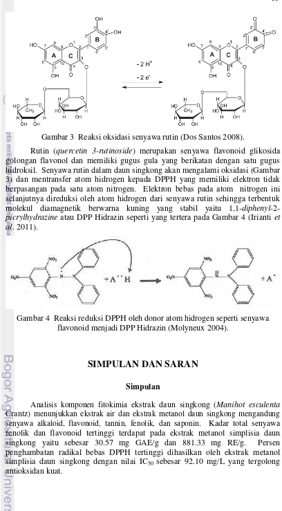 Gambar 3  Reaksi oksidasi senyawa rutin (Dos Santos 2008).  