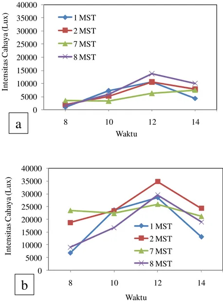 Gambar 3. Grafik Intensitas Cahaya Lingkungan Penelitian              a) Dalam Rumah Kaca b) Luar Rumah Kaca 05000100001500020000250003000035000400008101214