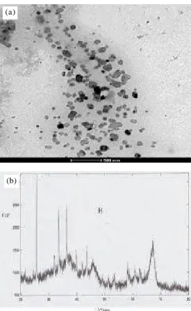 Gambar 4. (a). TEM dan (b). XRD image dari katalis CuO/Al O CuO/Al O 10%.