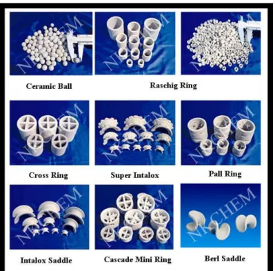 Gambar III.8 Jenis-Jenis Packing  Tabel III.3 Karakteristik Packing  Random Packings  Size  Packing 