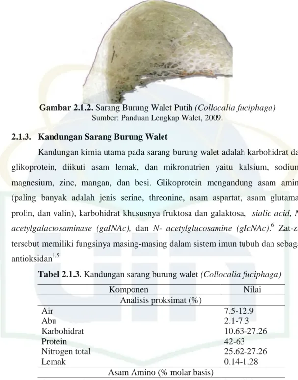 Gambar 2.1.2. Sarang Burung Walet Putih (Collocalia fuciphaga)  Sumber: Panduan Lengkap Walet, 2009