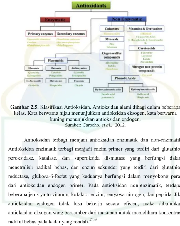 Gambar 2.5. Klasifikasi Antioksidan. Antioksidan alami dibagi dalam beberapa  kelas. Kata berwarna hijau menunjukkan antioksidan eksogen, kata berwarna 