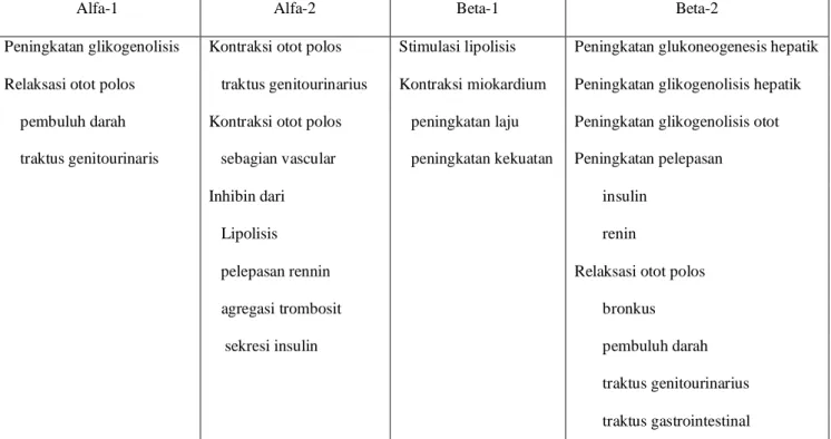 Tabel 1. Pembagian kerja yang diperantai lewat reseptor adrenergik 