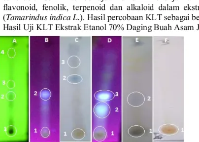 Tabel 4. Hasil Pemisahan Ekstrak Etanol 70% Daging Buah Asam Jawa  Deteksi   NO  hRf   Keterangan warna   Interpretasi 